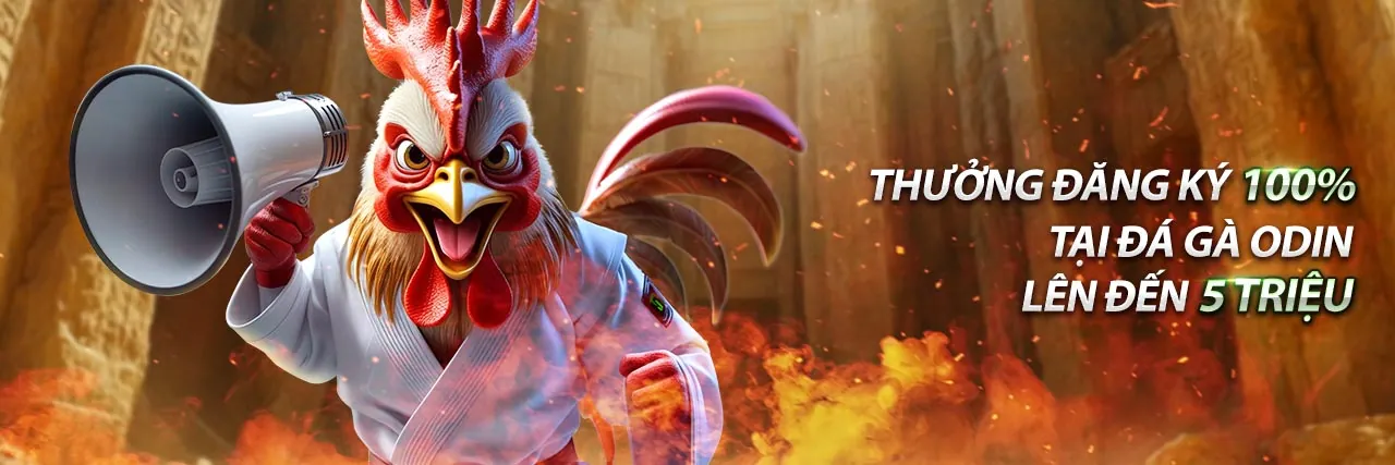 Giao diện bảng điều khiển cá cược thể thao đa dạng tại SHBET